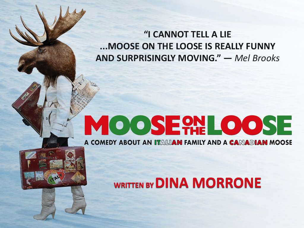 Moose On The Loose