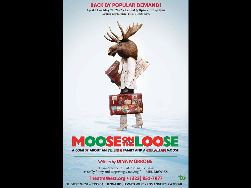 Moose On The Loose