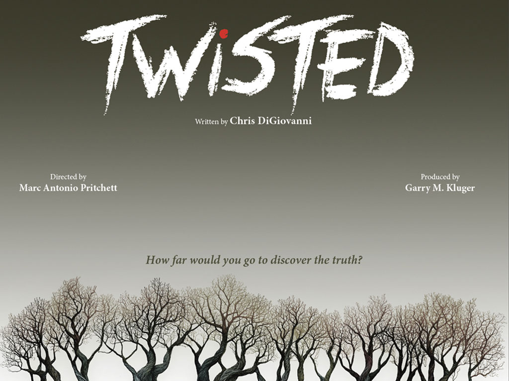Preview image for Writers in Residence show, Twisted